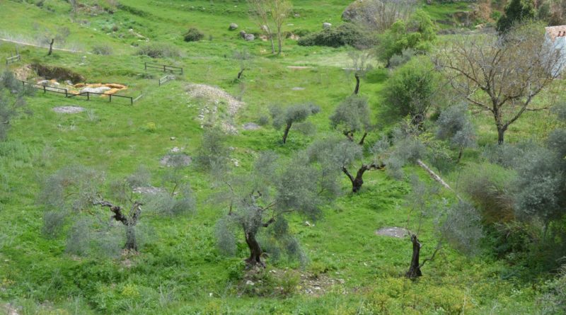 Agriculture à « haute valeur naturelle » : AScA partenaire du projet HNV-Link (H2020) sous la coordination du CIHEAM-IAMM (Montpellier)