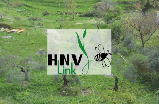 Diapositive1 HVN Links